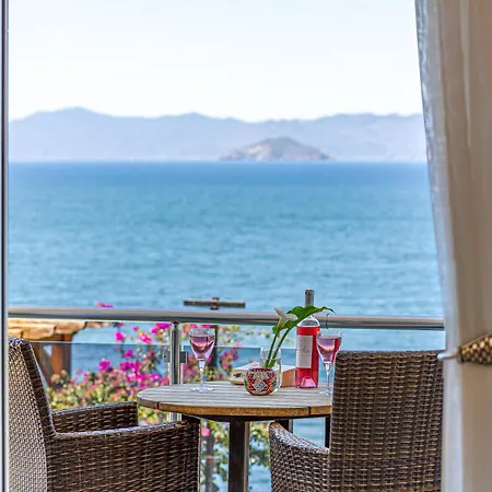 Sofia Ada 빌라 *